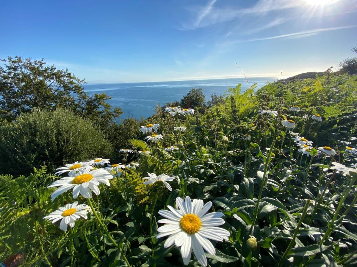 Rooms At Babbacombe トーキー エクステリア 写真