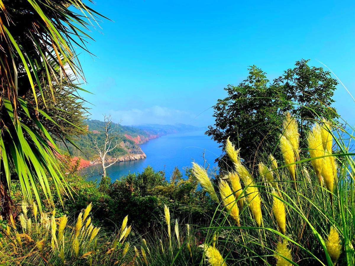 Rooms At Babbacombe トーキー エクステリア 写真